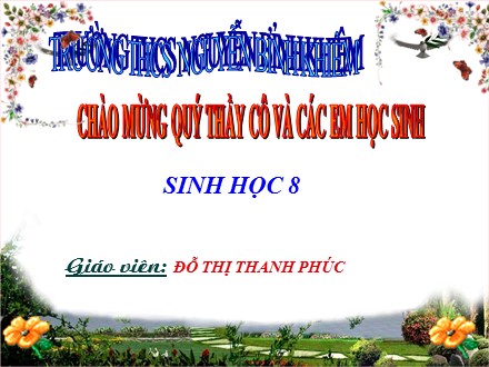 Bài giảng Sinh học 8 - Bài 15: Đông máu và nguyên tắc truyền máu - Trường THCS Nguyễn Bỉnh Khiêm
