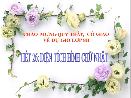 Bài giảng môn Hình học Lớp 8 - Tiết 26: Diện tích hình chữ nhật