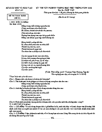 Bộ 15 đề thi tham khảo kì thi tốt nghiệp Trung học Phổ thông năm 2020 môn Ngữ văn - Sở GD&ĐT Gia Lai (Có đáp án)