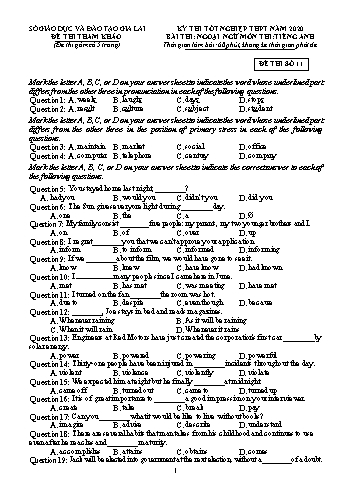 Đề thi tham khảo kì thi tốt nghiệp THPT năm 2020 môn Tiếng Anh - Sở GD&ĐT Gia Lai - Đề thi số 11