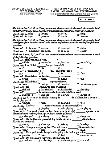 Đề thi tham khảo kì thi tốt nghiệp THPT năm 2020 môn Tiếng Anh - Sở GD&ĐT Gia Lai - Đề thi số 03