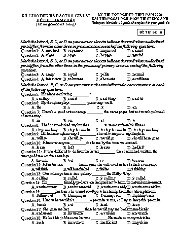 Đề thi tham khảo kì thi tốt nghiệp THPT năm 2020 môn Tiếng Anh - Sở GD&ĐT Gia Lai - Đề thi số 10