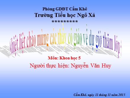 Bài giảng Khoa học Lớp 5 - Tiết 22: Tre, mây, song - Nguyễn Văn Huy