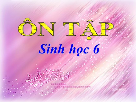 Bài giảng Sinh học 6 - Tiết 48: Ôn tập