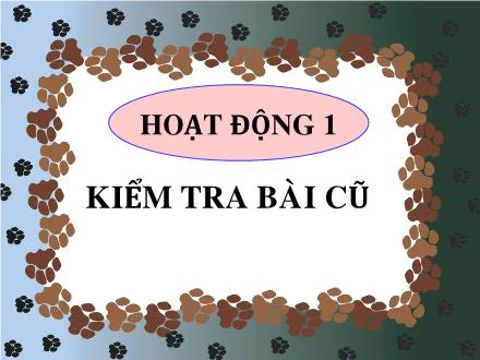 Bài giảng Toán 5 - Tiết 91: Diện tích hình tam giác