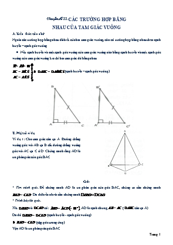 Ôn tập Toán 9 - Chuyên đề 11: Các trường hợp bằng nhau của tam giác vuông