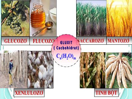 Bài giảng Hóa học Lớp 12 - Bài 7: Luyện tập Bài giảng Hóa học Lớp 12 - Bài 7: Luyện tập
