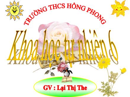 Bài giảng Khoa học tự nhiên Lớp 6 Sách Cánh diều - Chủ đề 6: Hỗn hợp - Bài 10: Hỗn hợp. Chất tinh khiết. Dung dịch - Lại Thị The
