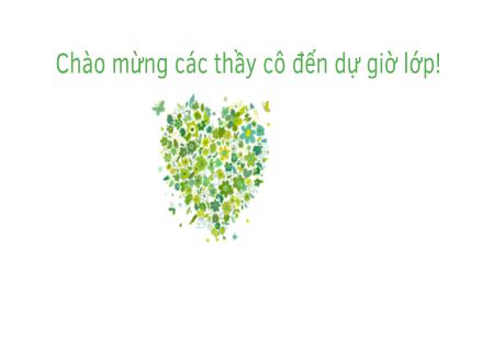 Bài giảng Vật lí Lớp 12 - Bài 26: Giao thoa sóng - Hoàng Nhàn