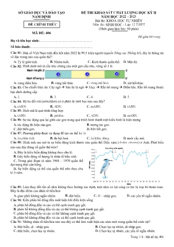 Đề khảo sát chất lượng học kì 2 Sinh học Lớp 12 - Mã đề: 406 - Năm học 2022-2023 - Sở GD&ĐT Nam Định (Có đáp án)