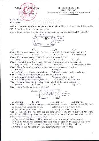 Đề minh họa kiểm tra Sinh học Lớp 10 (Có đáp án)