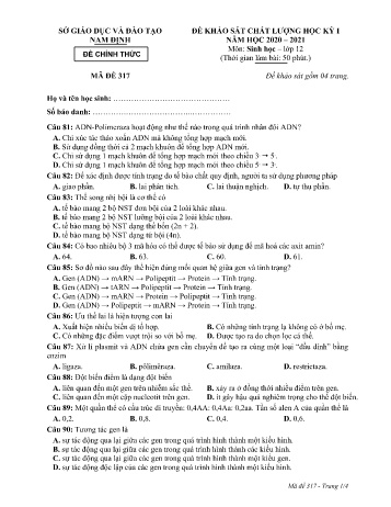 Đề thi khảo sát chất lượng học kì 1 Sinh học Lớp 12 - Mã đề: 317 - Năm học 2020-2021 - Sở GD&ĐT Nam Định (Có đáp án)