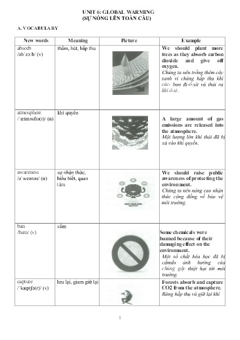 Ôn tập Tiếng Anh Lớp 11 - Unit 6: Global warming