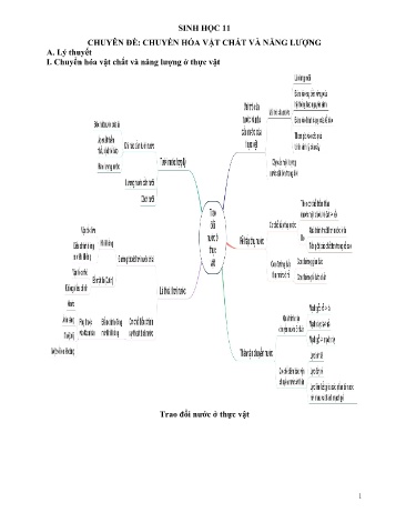 Chuyên đề Sinh học Lớp 11 - Chuyển hóa vật chất và năng lượng - Trường THPT Trần Văn Lan