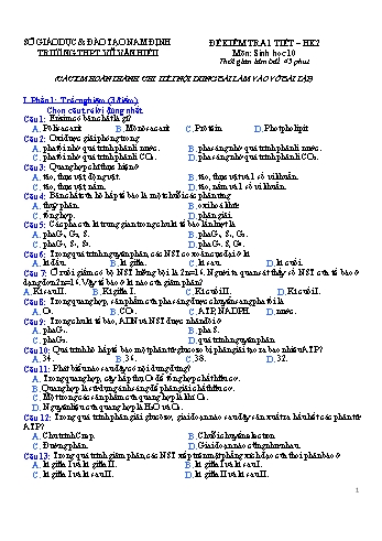Đề kiểm tra 45 phút Sinh học Lớp 10 - Trường THPT Vũ Văn Hiếu