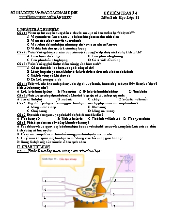 Đề kiểm tra Sinh học Lớp 11 (Lần 4) - Trường THPT Vũ Văn Hiếu