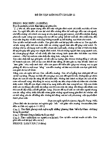 Đề ôn tập môn Ngữ văn Lớp 11 - Trường THPT Vũ Văn Hiếu
