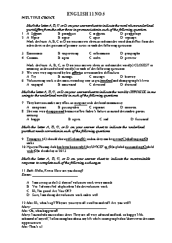 Đề ôn tập Tiếng Anh Lớp 11 - Đề số 5 - Trường THPT Vũ Văn Hiếu