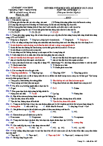 Đề thi giữa học kì 1 Sinh học Lớp 11 - Mã đề: 487 - Năm học 2017-2018 - Trường THPT Trực Ninh (Có đáp án)