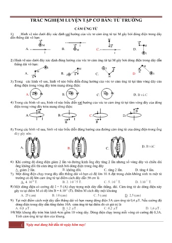 Trắc nghiệm luyện tập Vật lí Lớp 11 - Cảm ứng từ - Trường THPT Trực Ninh (Có đáp án)